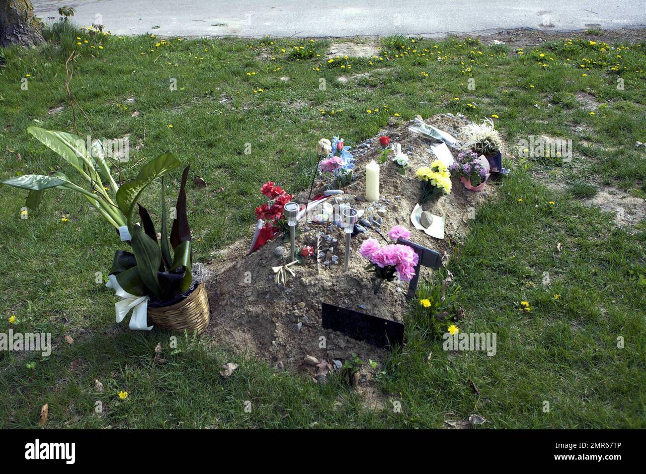 Se ha informado que el actor Corey Haim murió de neumonía complicada