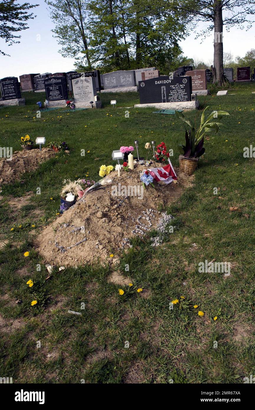 Se ha informado que el actor Corey Haim murió de neumonía complicada