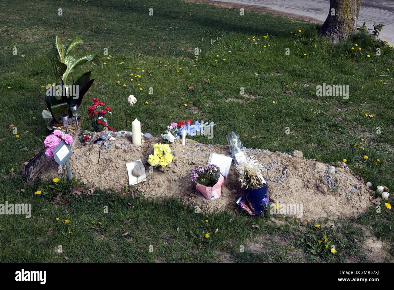 Se ha informado que el actor Corey Haim murió de neumonía complicada