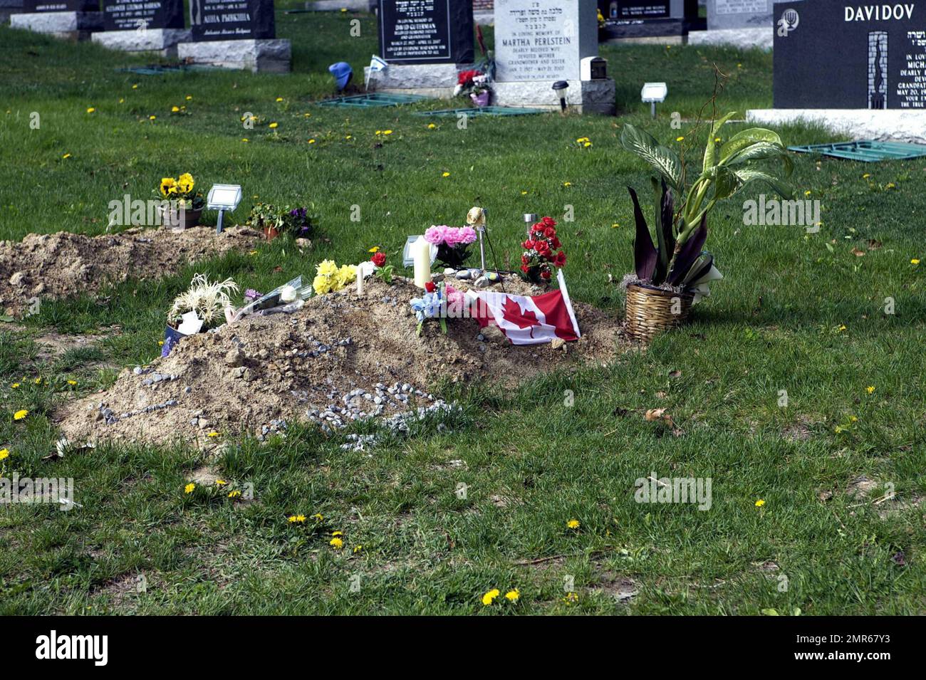 Se ha informado que el actor Corey Haim murió de neumonía complicada