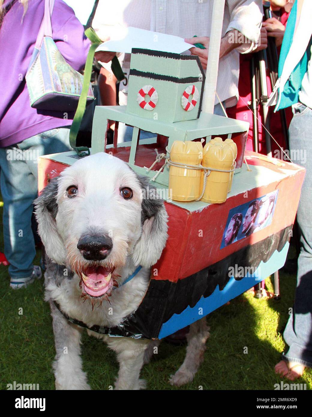 EXCLUSIVO! Miles de amantes de las mascotas y sus perros acudieron a la  10th.ª edición anual del Desfile y concurso de disfraces de Haute Dog  Howl'Oween en Livingston Park para recaudar fondos