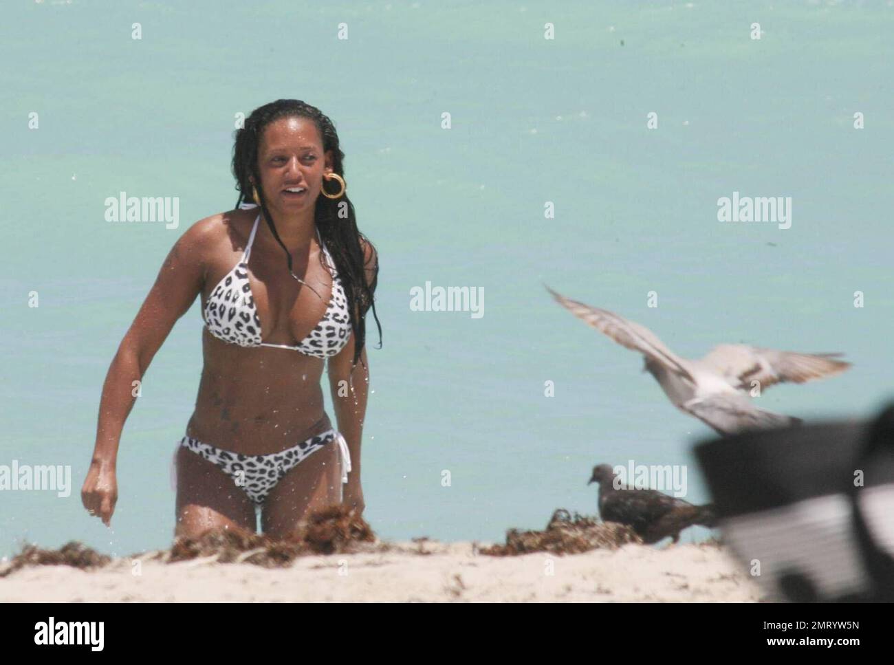 Mel B disfruta de un chapuzón en el cálido océano tropical con su esposo  Stephan Belafonte y amigos. La pareja que se acercaba a su primer  aniversario de boda era muy encantadora