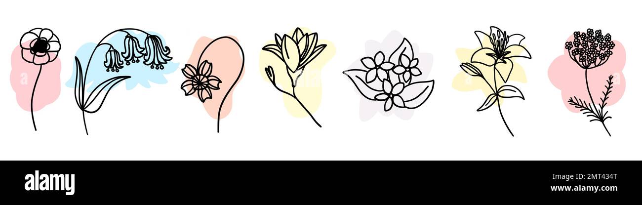  Flores con pincel colorido en estilo de dibujos animados de doodle plano. Ilustración vectorial sobre fondo blanco Imagen Vector de stock