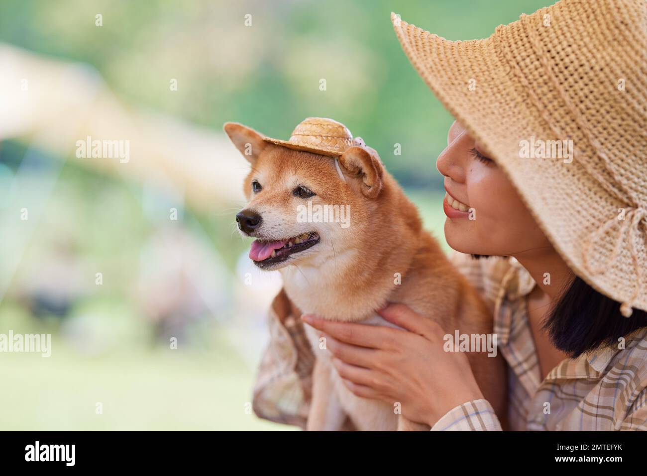 Mujer japonesa joven con el perro en el camping Foto de stock