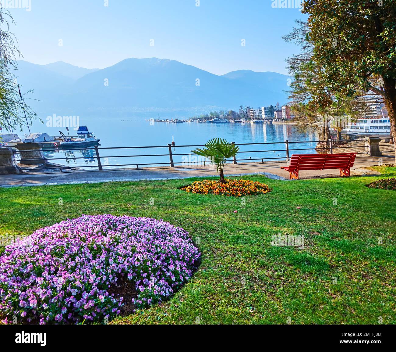 Terraplén del lago Maggiore con un hermoso parque, decorado con macizos de flores de colores de pansy y petunia, Locarno, Suiza Foto de stock