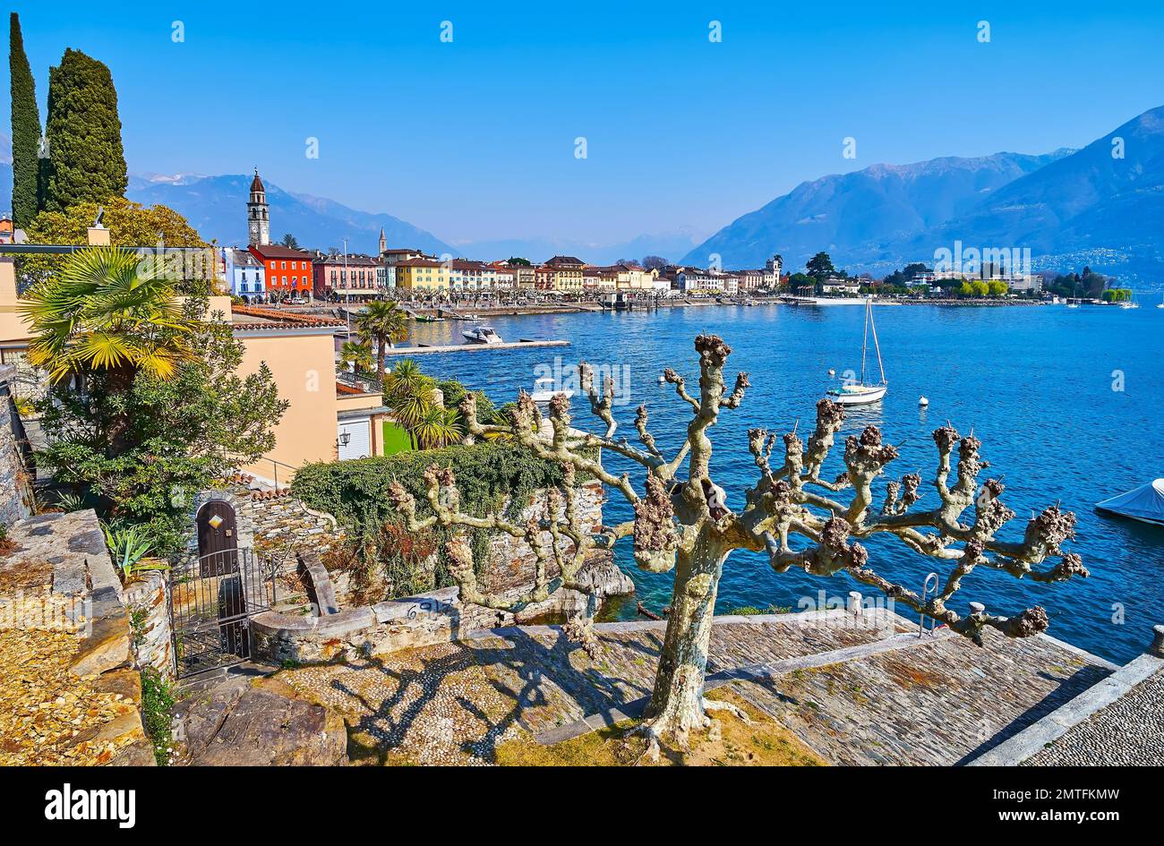 La vista del lago de Ascona con el árbol viejo en la orilla, línea de casas de colores en el casco antiguo y los Alpes brumosos en el fondo, Suiza Foto de stock