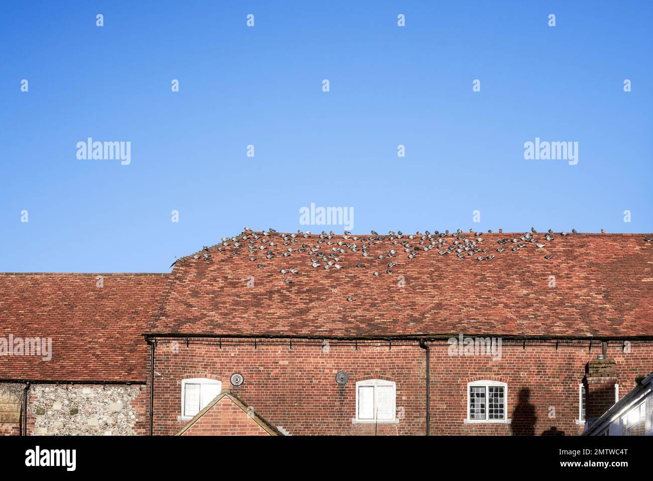 Palomas que descansan en un techo de baldosas de arcilla roja con el cielo azul detrás Foto de stock