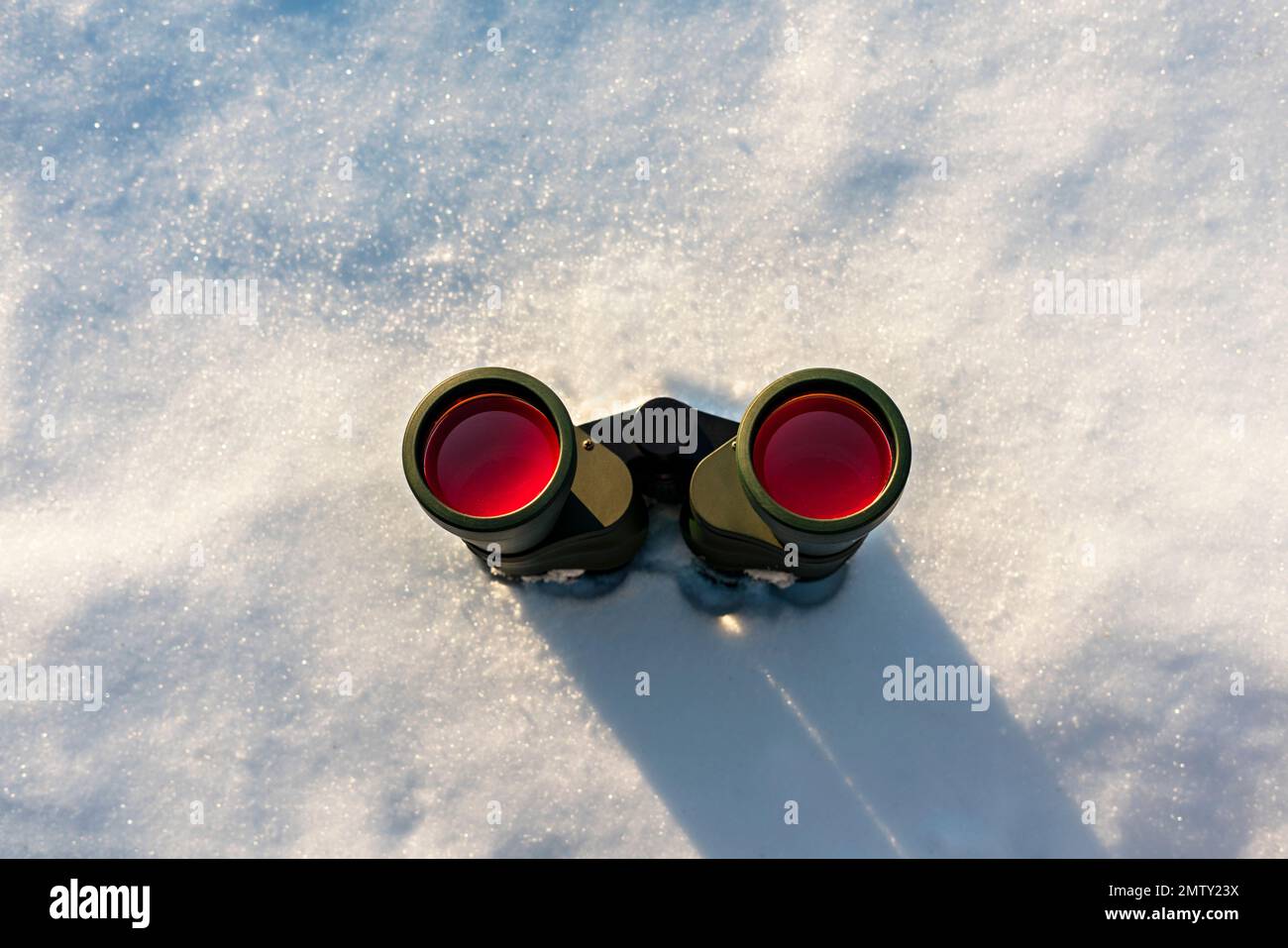 Binoculares negros con lente roja en blanco nieve invierno fondo copia espacio ecología Birdwatching Investigación en la naturaleza, observación de animales Foto de stock