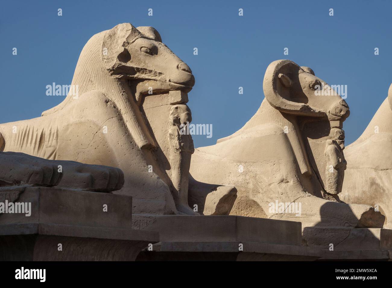 Esfinges, Templo de Karnak, Luxor, Egipto Foto de stock