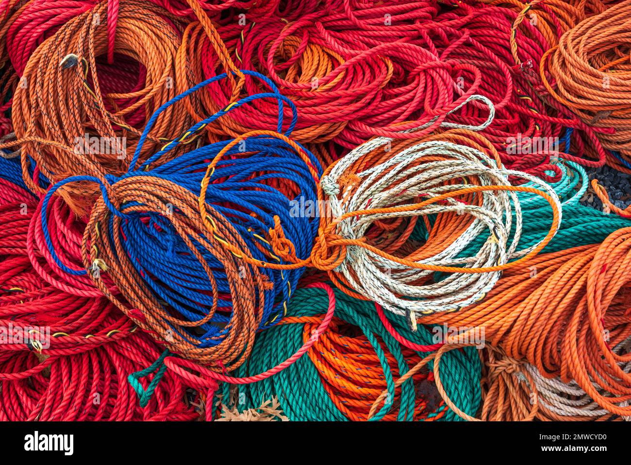Un montón de cuerdas variadas cerca de Dipper Harbour, New Brunswick, Canadá. Foto de stock