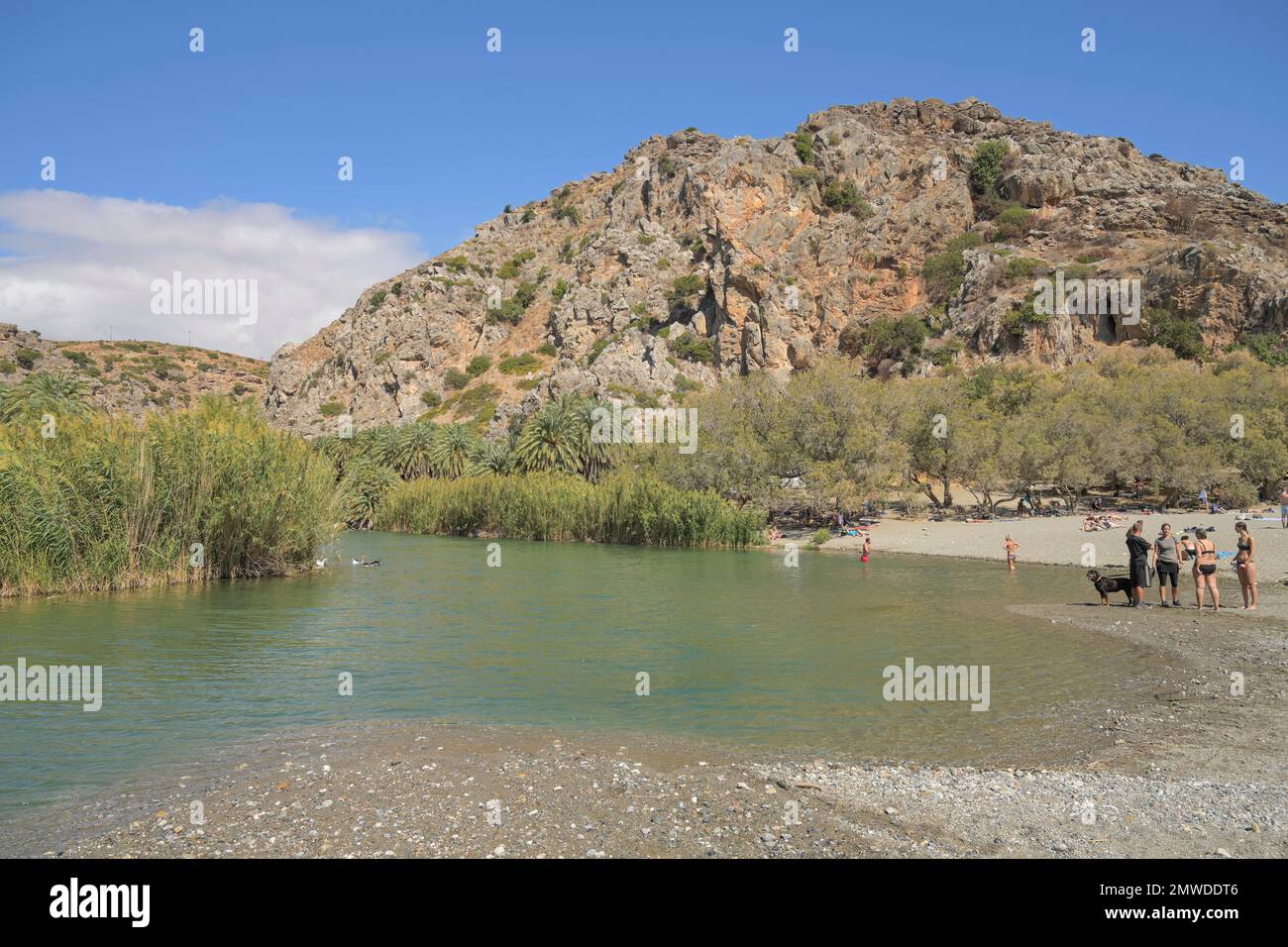 Corriente de agua dulce fotografías e imágenes de alta resolución Alamy