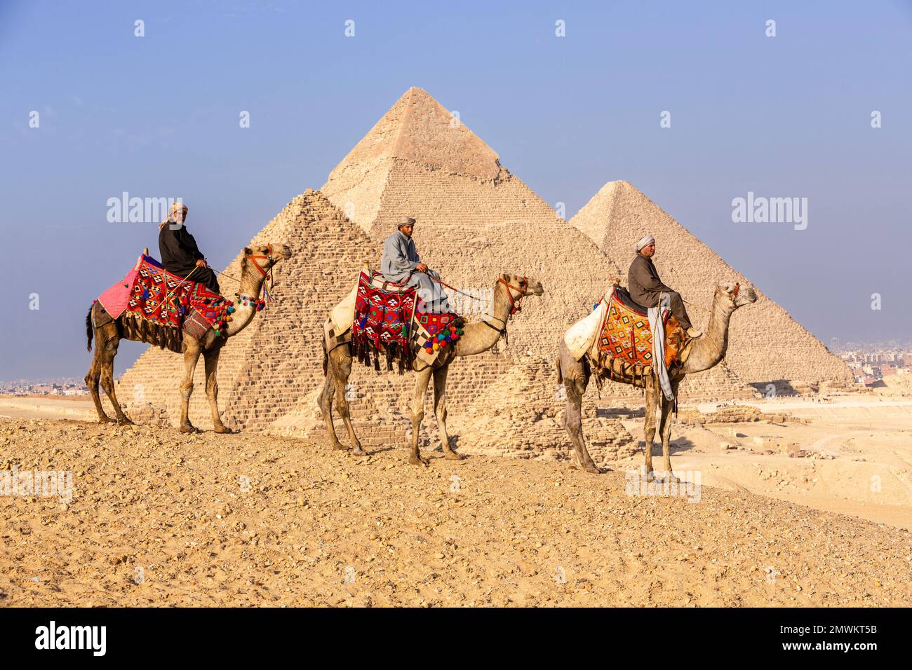 Pirámides de Giza con camellos al atardecer, El Cairo, Egipto Foto de stock
