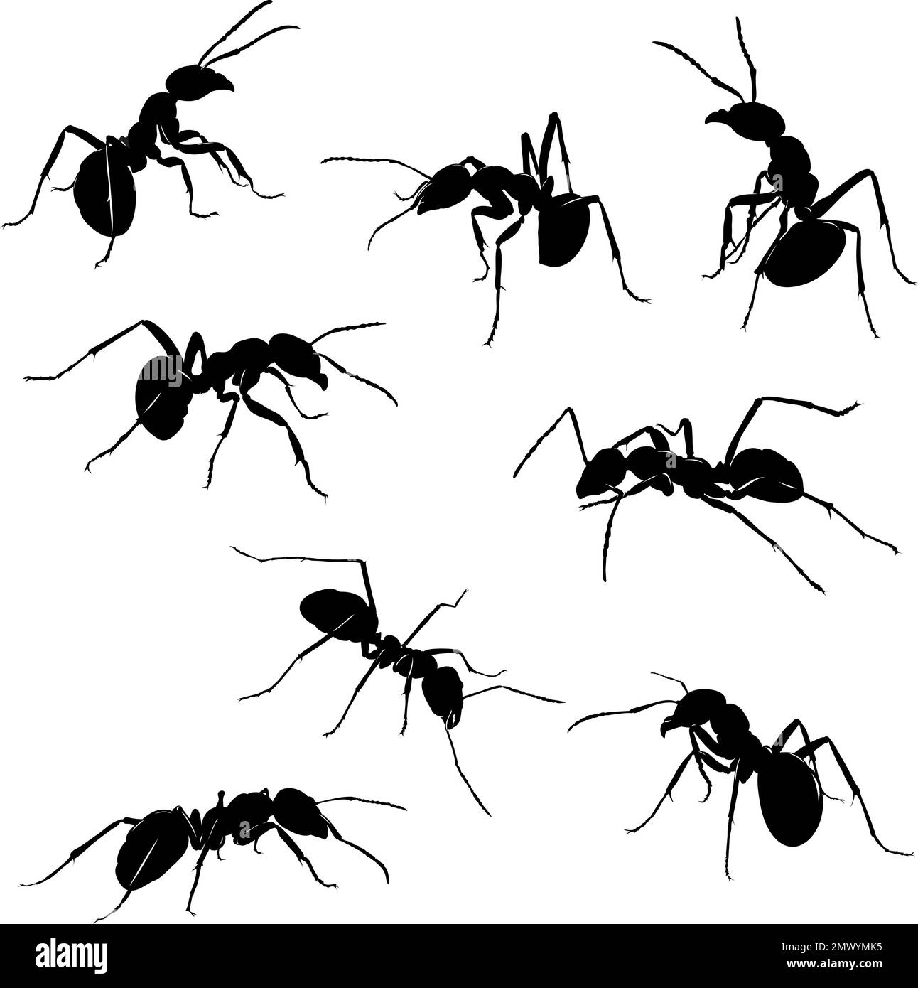 hormiga, insecto, varias poses, movimientos y ángulos de figuras, negro, color, patrón, dibujo, silueta, ojos, diseño, símbolo, imagen, aislado Ilustración del Vector