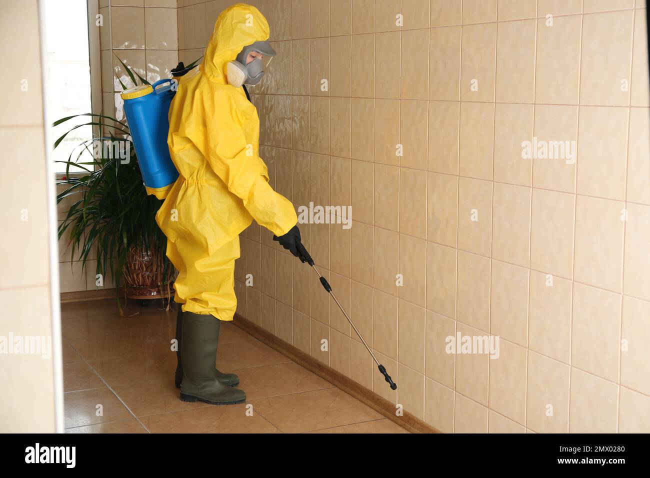 Trabajador de control de plagas rociando pesticidas en interiores. Espacio para texto Foto de stock