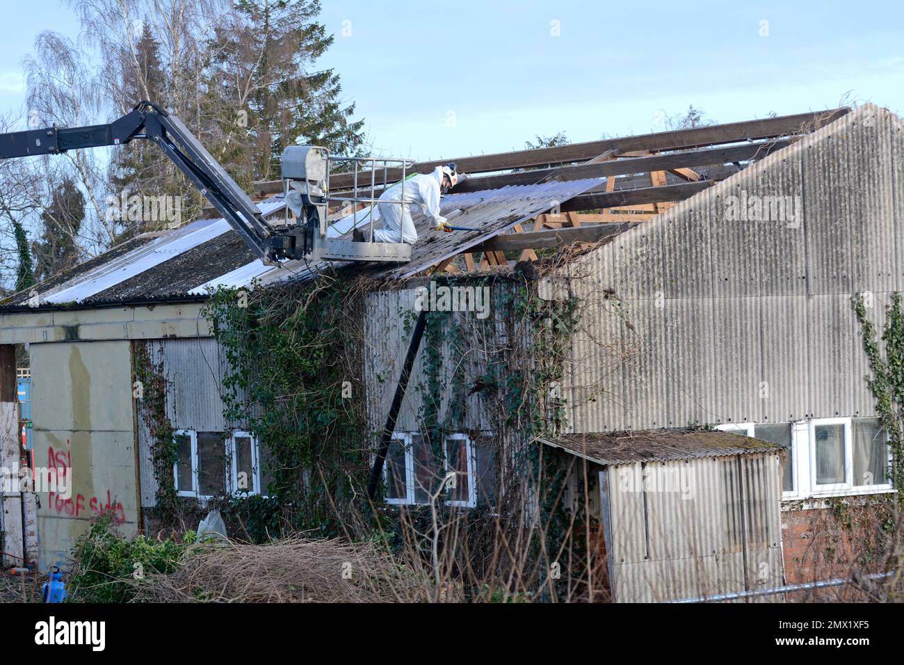 Extracción de aspestos de un techo, Reino Unido Foto de stock