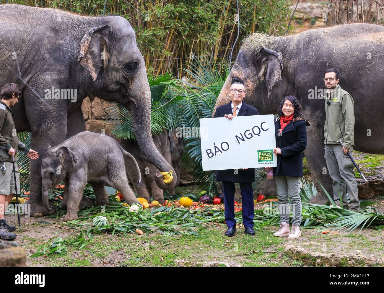 Nguyen ngoc hanh fotografías e imágenes de alta resolución - Alamy