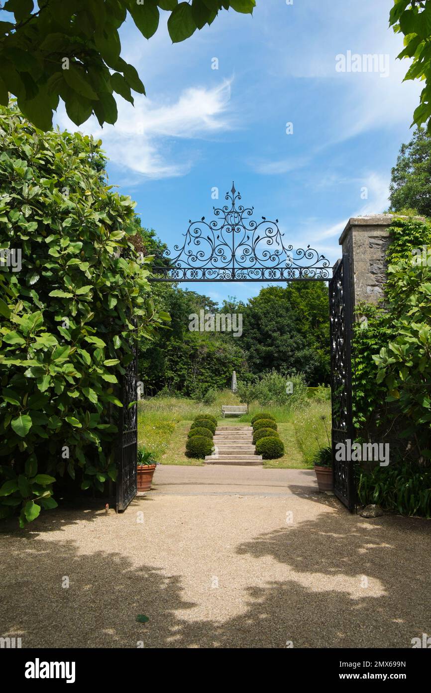 Grandes puertas de hierro forjado negro flanqueadas por Magnolia grandiflora en la entrada del Jardín del Conde del Coleccionista, Castillo de Arundel, West Sussex, Reino Unido Foto de stock