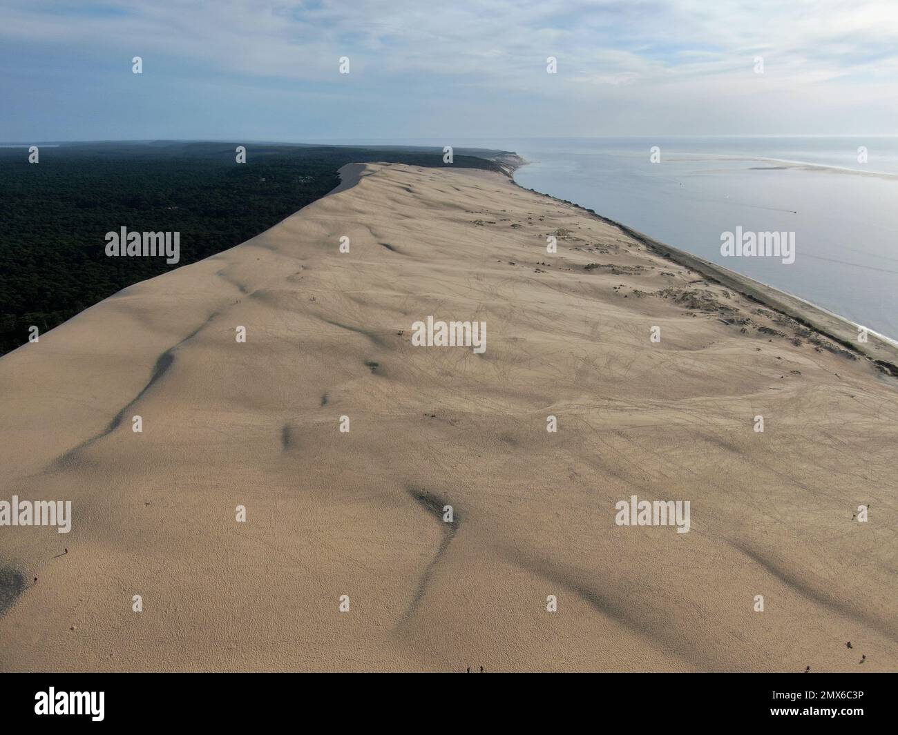 Las dunas frnacesas Foto de stock