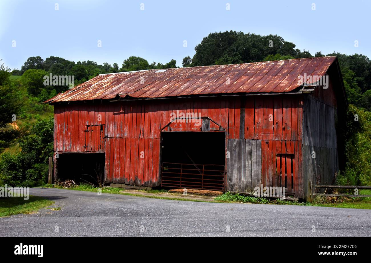 Rojo, descolorido, desgastado, granero de madera tiene oxidado y el techo de estaño abrochado. El carril rural pasa por delante del granero. Foto de stock
