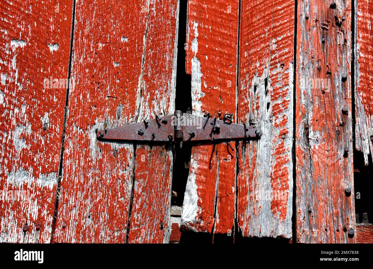 La bisagra oxidada en la puerta del granero viejo se mantiene en su lugar por una miríada de clavos. El granero es rojo con pelado y pintura desgastada. Foto de stock