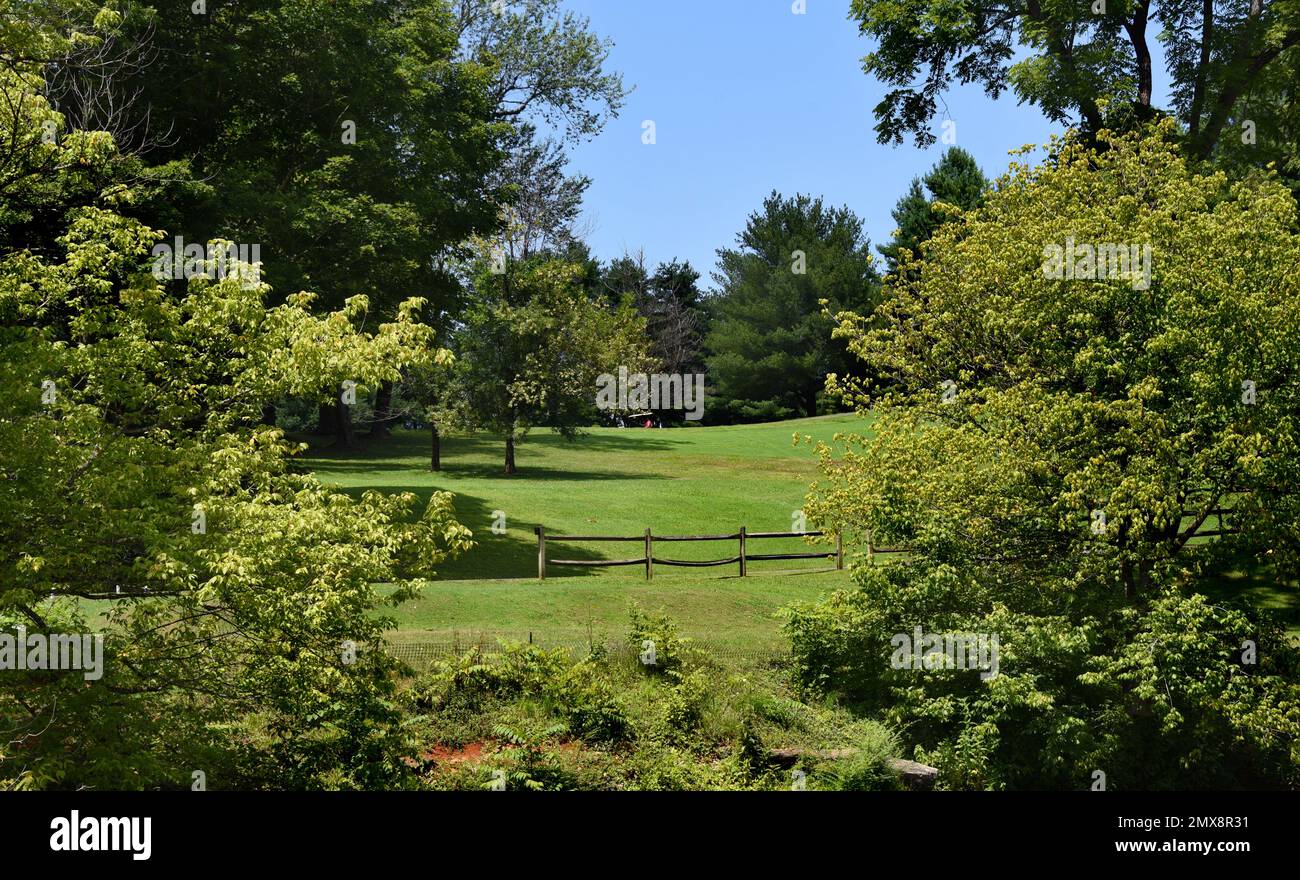 Hierba verde y árboles cubren el campo de golf Steele Creek, en Bristol, Tennessee. Carrito de golf se puede ver, en la distancia, atravesando el green. Foto de stock