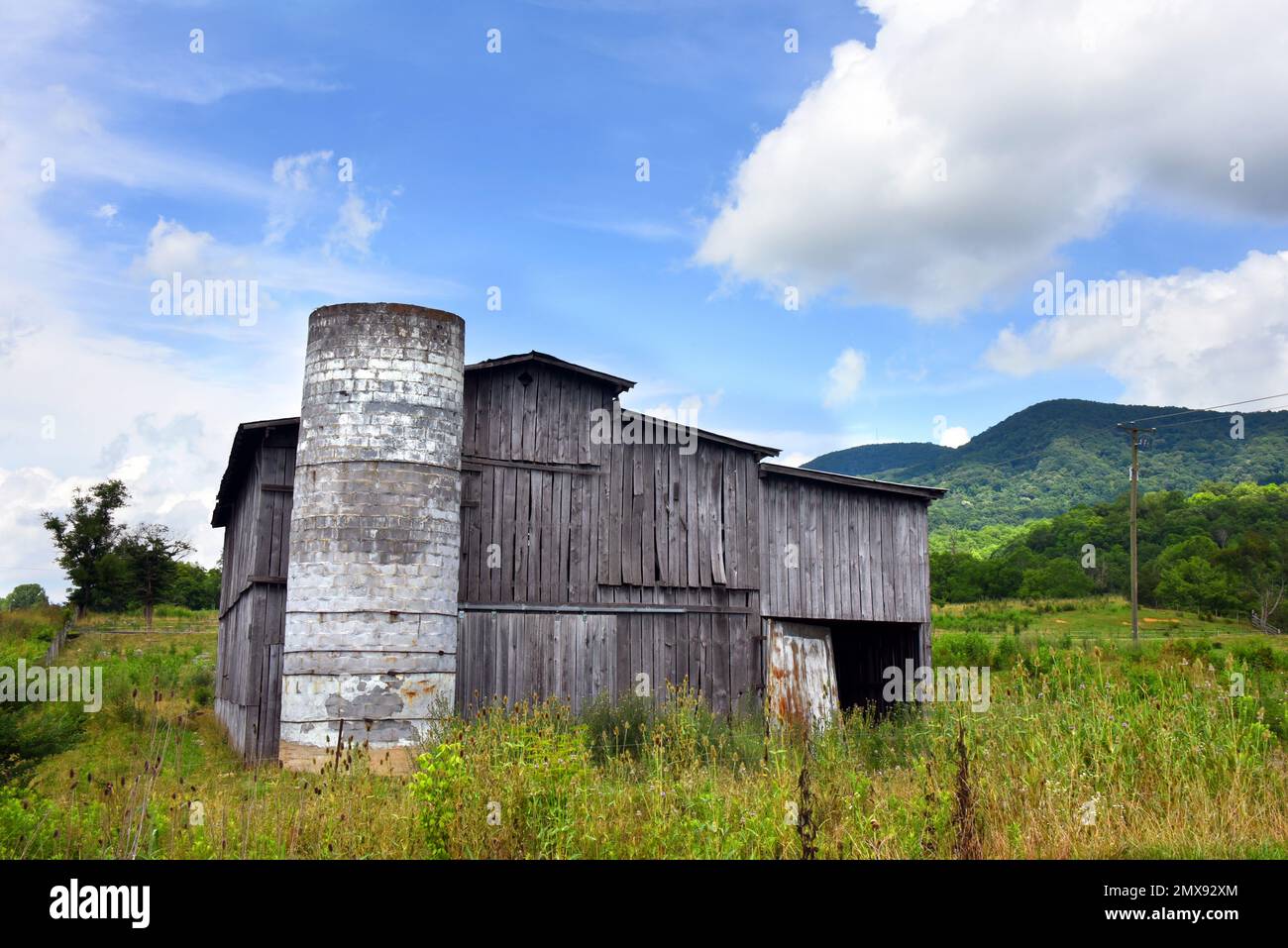 Rústico, desgastado, granero de madera tiene silo sin techo. Se asienta en un campo de hierba alta. Foto de stock