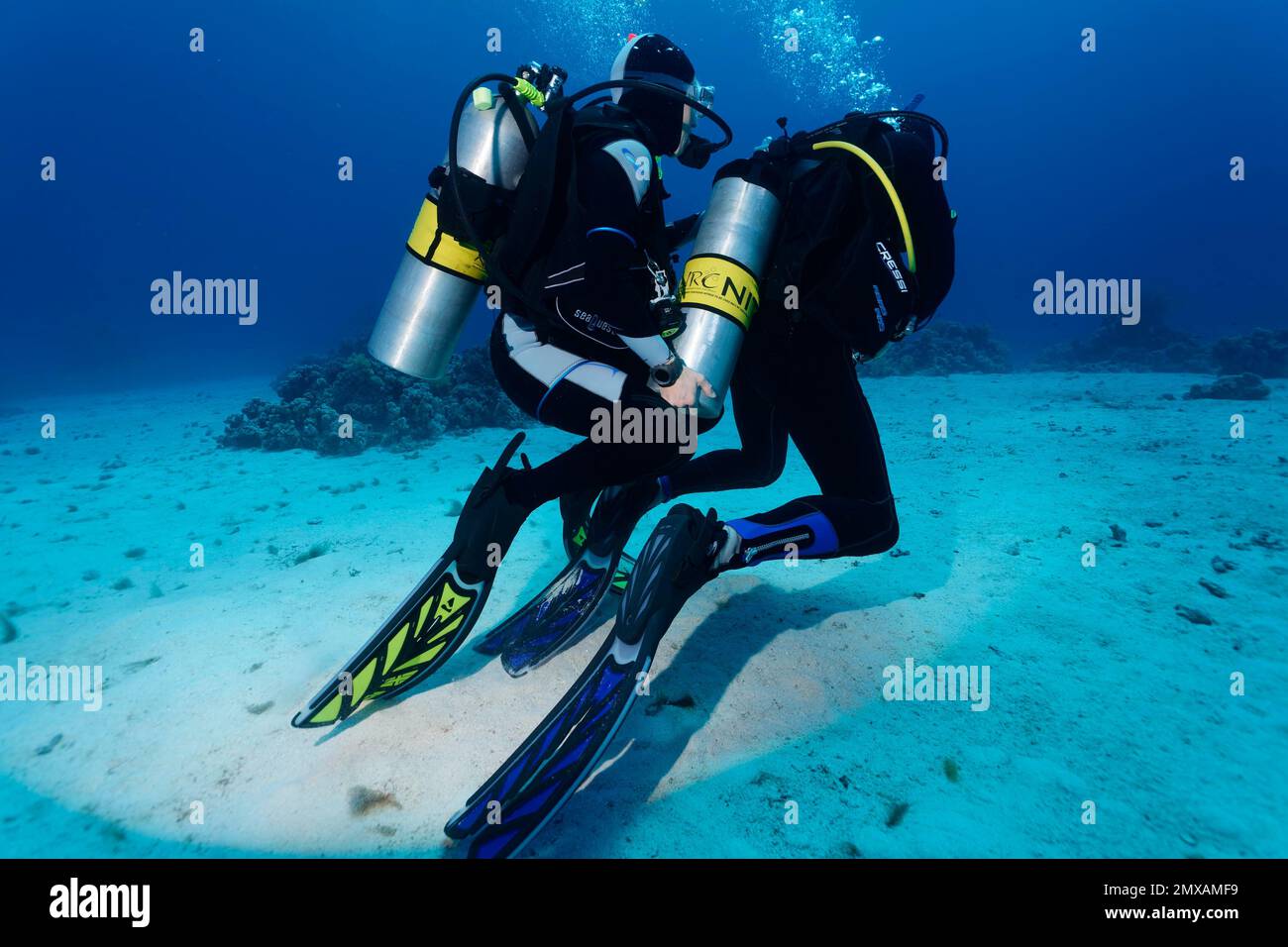 Diver ayuda a otros buceadores, buceo suelto, nitrox, Port Safaga, Mar Rojo, Egipto Foto de stock