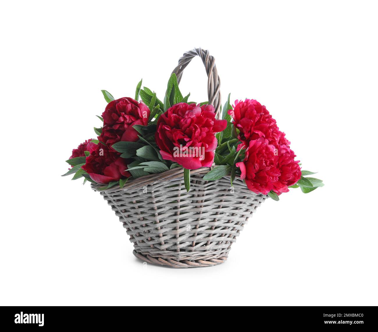 Ramo de hermosas peonías rojas en cesta de mimbre aislado en blanco  Fotografía de stock - Alamy