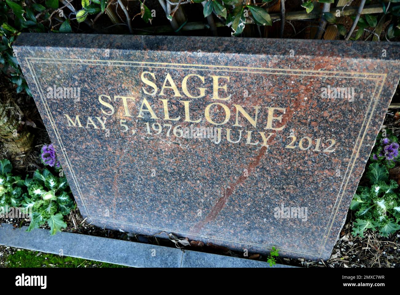 Hijo de sylvester stallone fotografías e imágenes de alta resolución