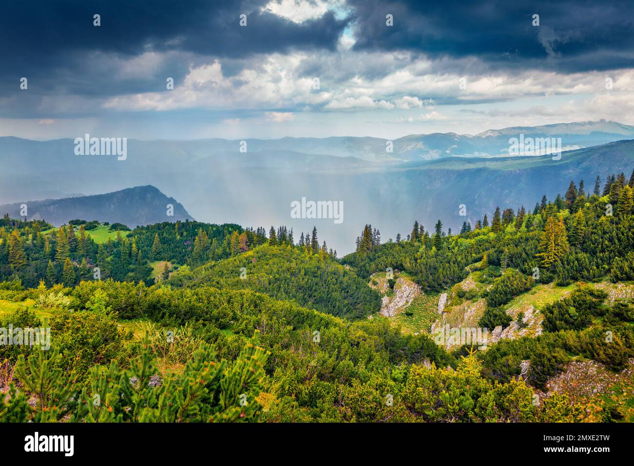 Espectacular vista de verano del cañón Tara. Escena de la mañana pintoresca del Parque Nacional Durmitor, Montenegro, Europa. Hermoso mundo de los países mediterráneos Foto de stock