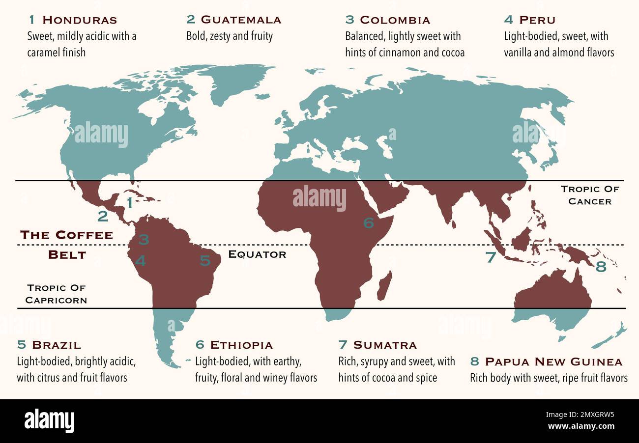 El área del mundo, conocida como cinturón de café, que incluye a los  principales países productores de café Fotografía de stock - Alamy