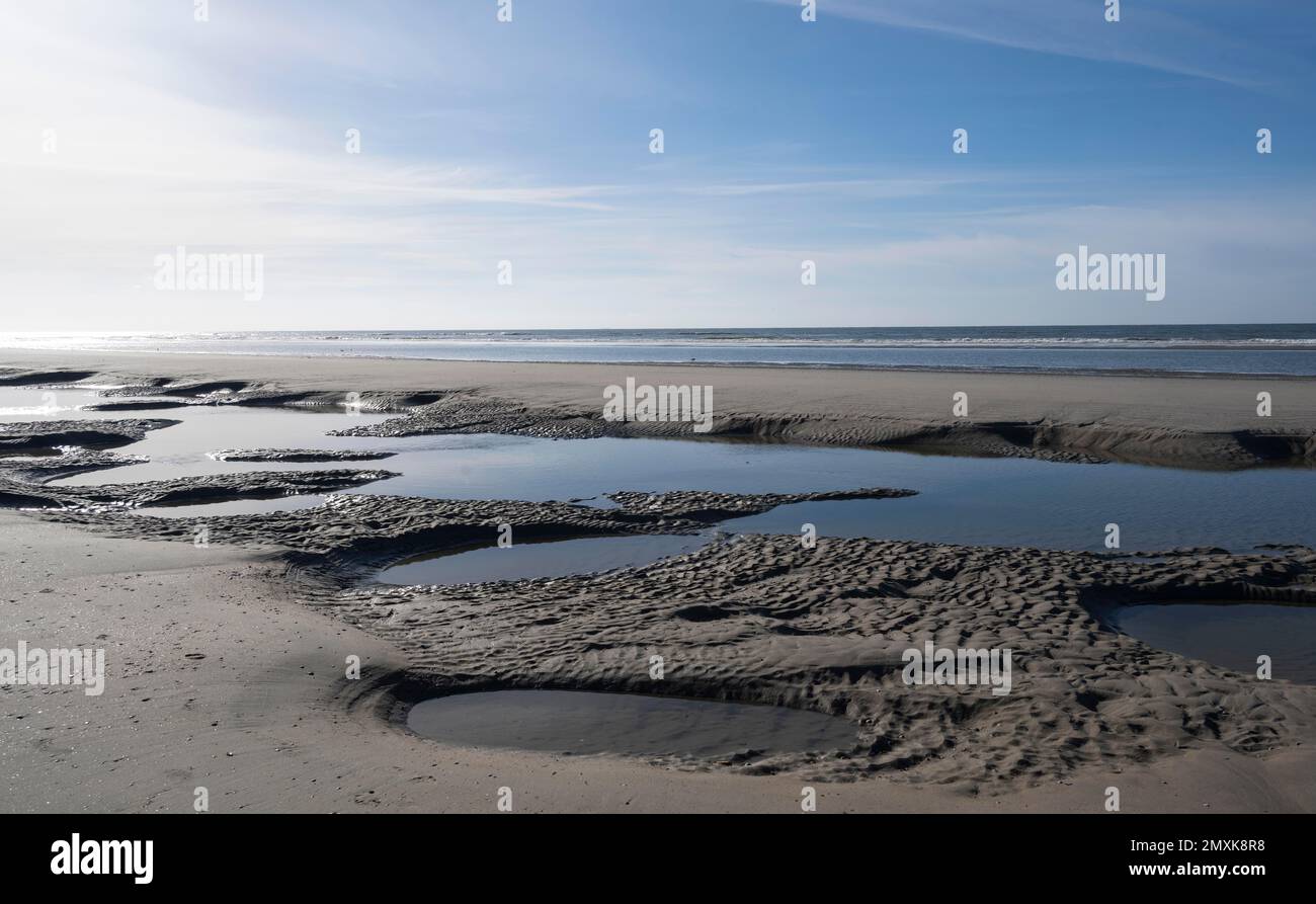 Playa de arena en marea baja con piscinas de marea, Isla Juist, Baja Sajonia Mar de Wadden, Mar del Norte, Frisia Oriental, Baja Sajonia, Alemania, Europa Foto de stock