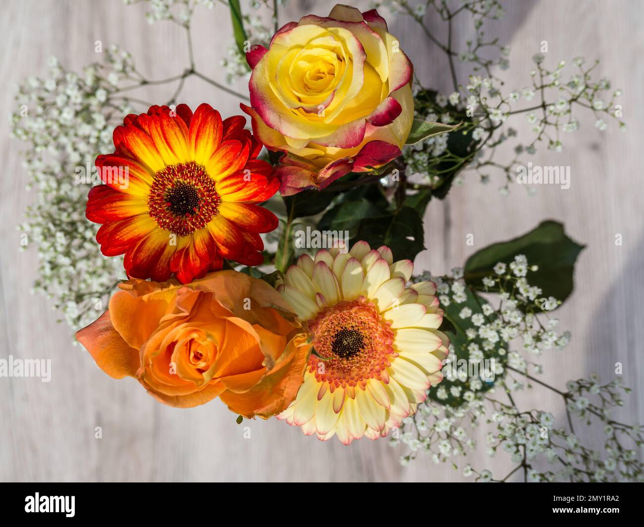 Flores eternas sobre un fondo de madera Fotografía de stock - Alamy
