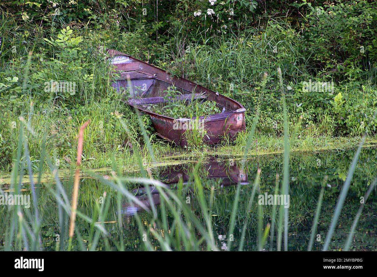 Malezas que crecen en un bote de remos oxidado abandonado junto a un estanque Foto de stock