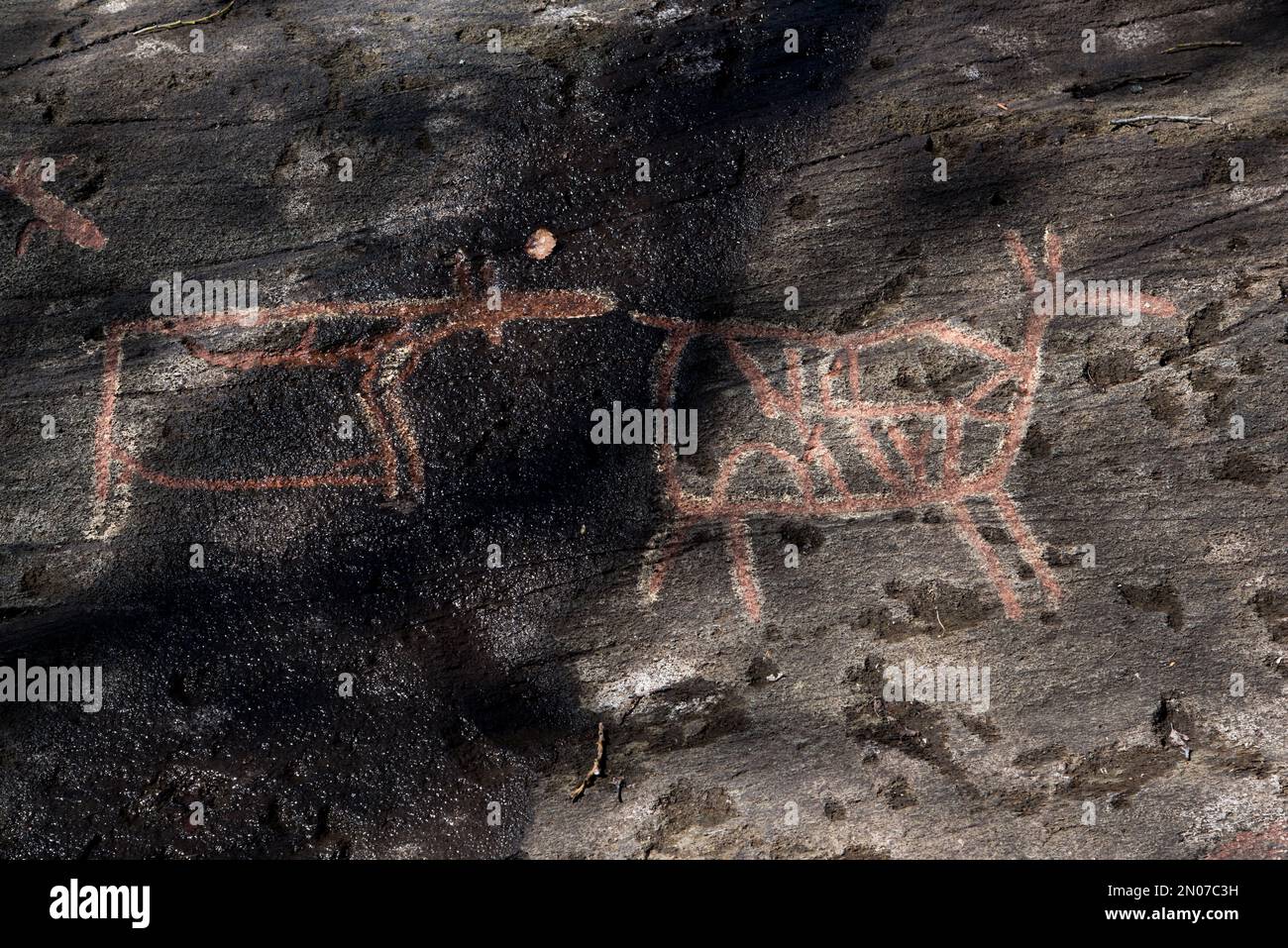 Hace casi 65000 años los pescadores de stoneage y los pastores de renos hicieron famosas tallas en roca Bukkhammeren cerca de Tennes en Balsfjord en el norte de Noruega Foto de stock