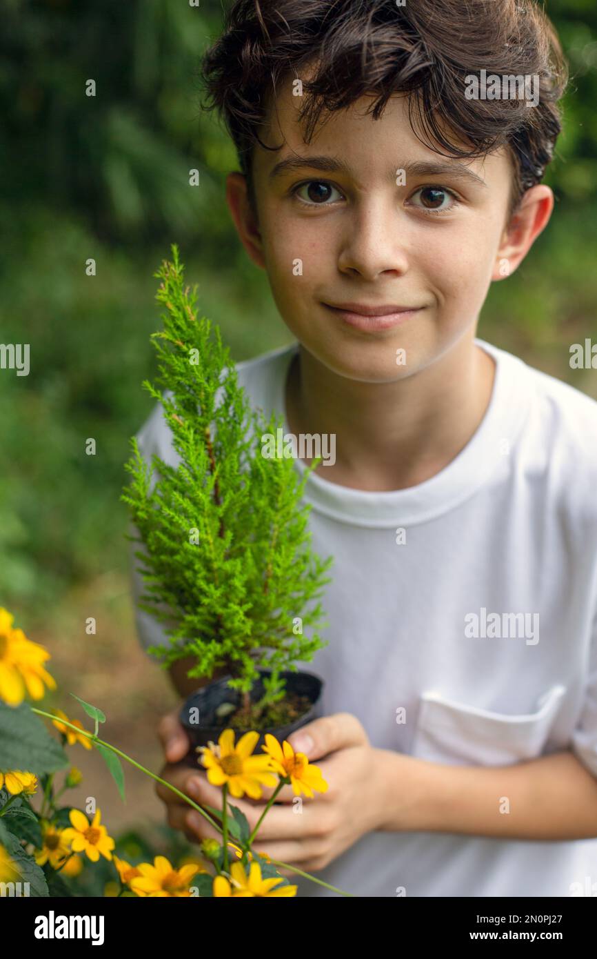 Un niño sosteniendo un pequeño árbol arbolado en una maceta, de pie en un jardín. Foto de stock