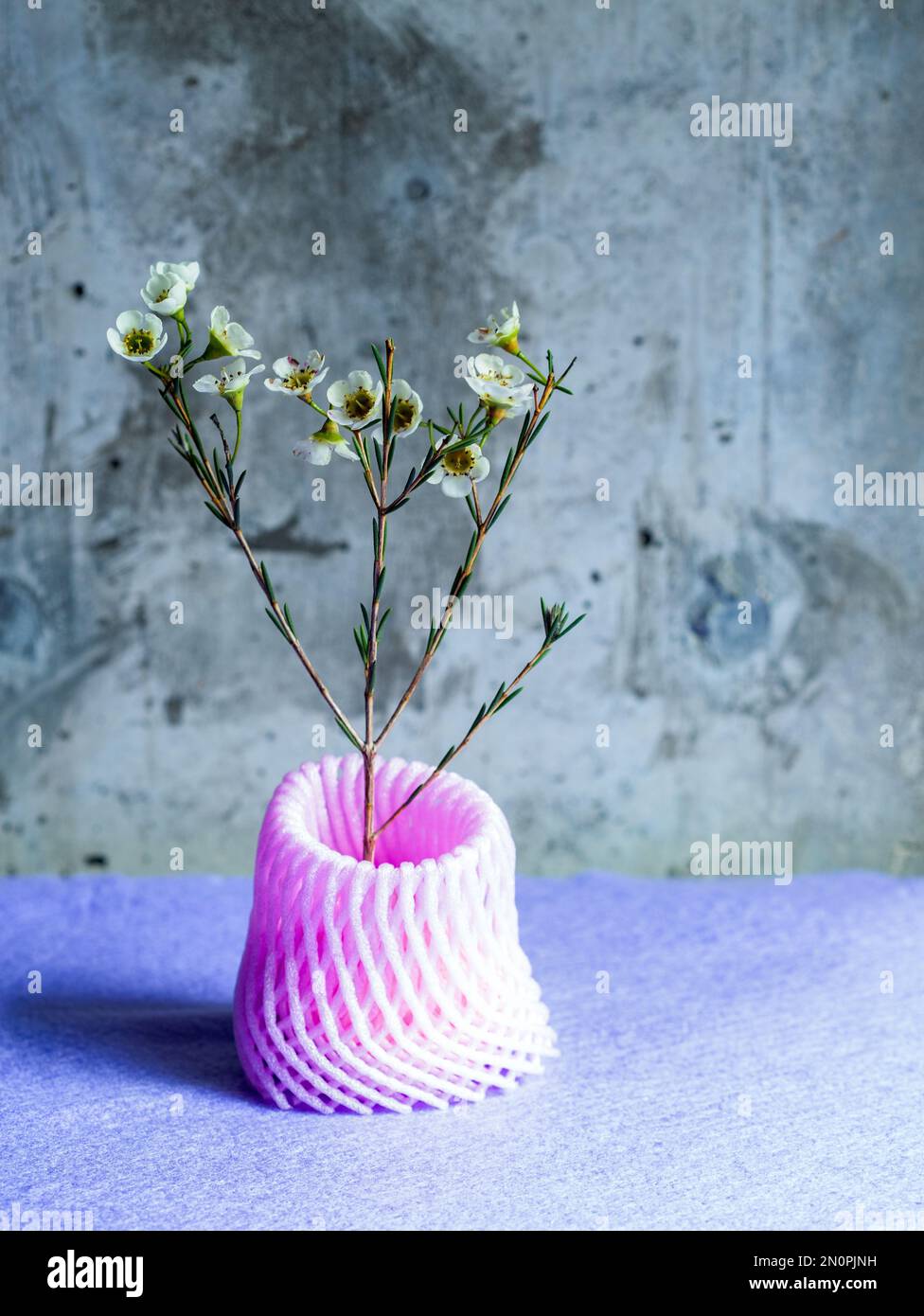 Studio shot, un tallo de pequeñas flores blancas en un jarrón de malla de plástico reciclado rosa. Foto de stock