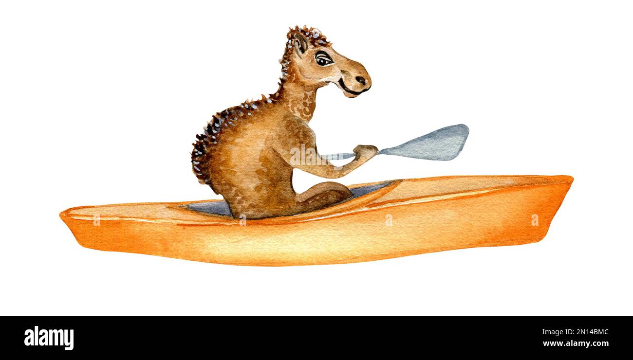 Camello de dibujos animados y kayak acuarela ilustración aislado sobre fondo blanco. Lindo animal australiano tiene deporte acuático dibujado a mano. Elemento de diseño para pr Foto de stock