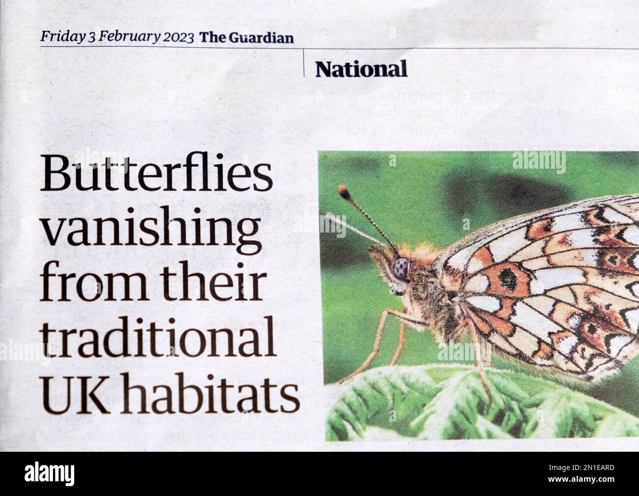 'Mariposas desapareciendo de sus hábitats tradicionales del Reino Unido' El titular del periódico Guardian NATURE Butterfly article Febrero 2023 Londres Inglaterra Reino Unido Foto de stock