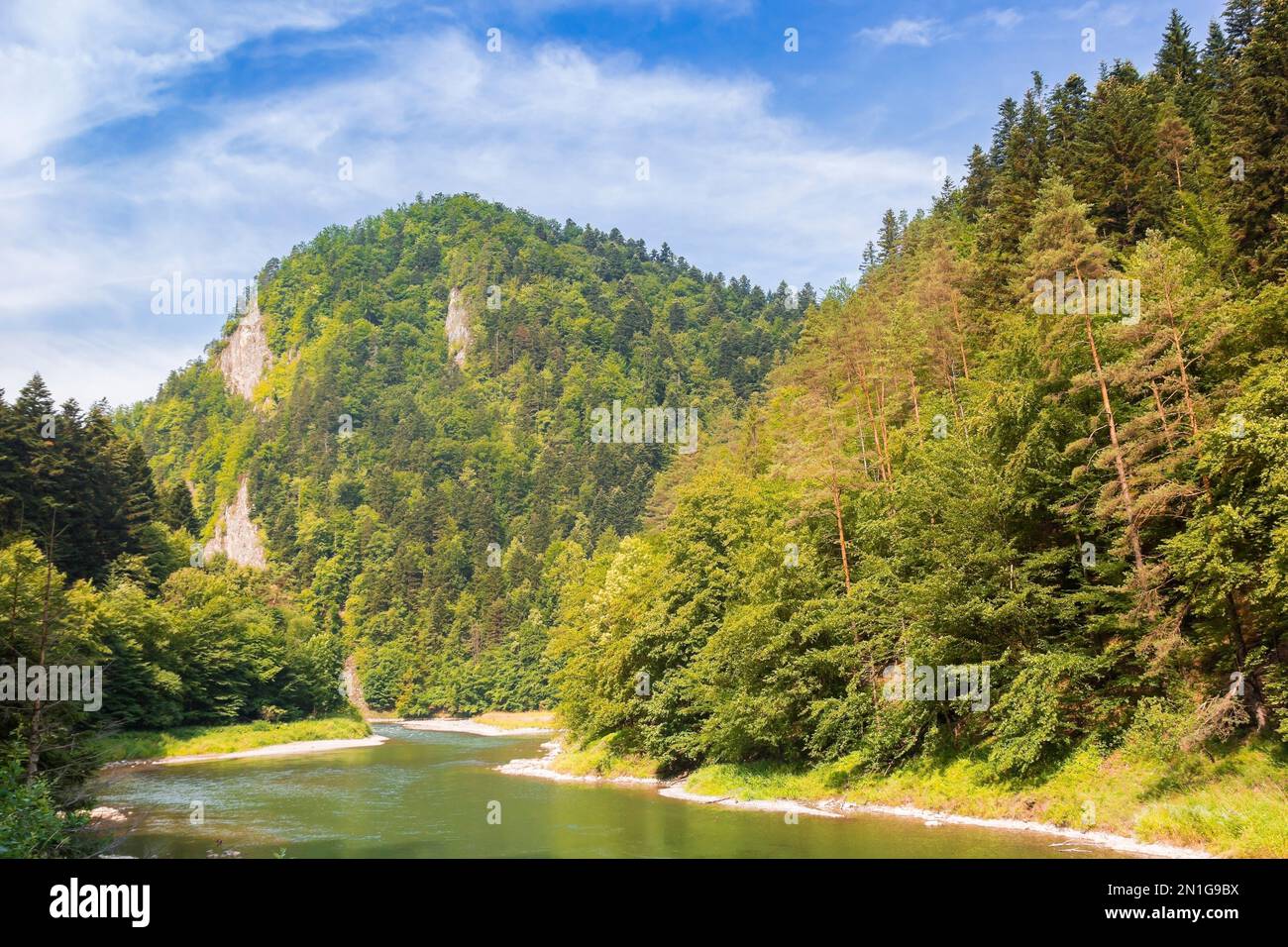 Río Dunajec que fluye a través de las montañas de los Cárpatos en Szczawnica, Polonia Foto de stock