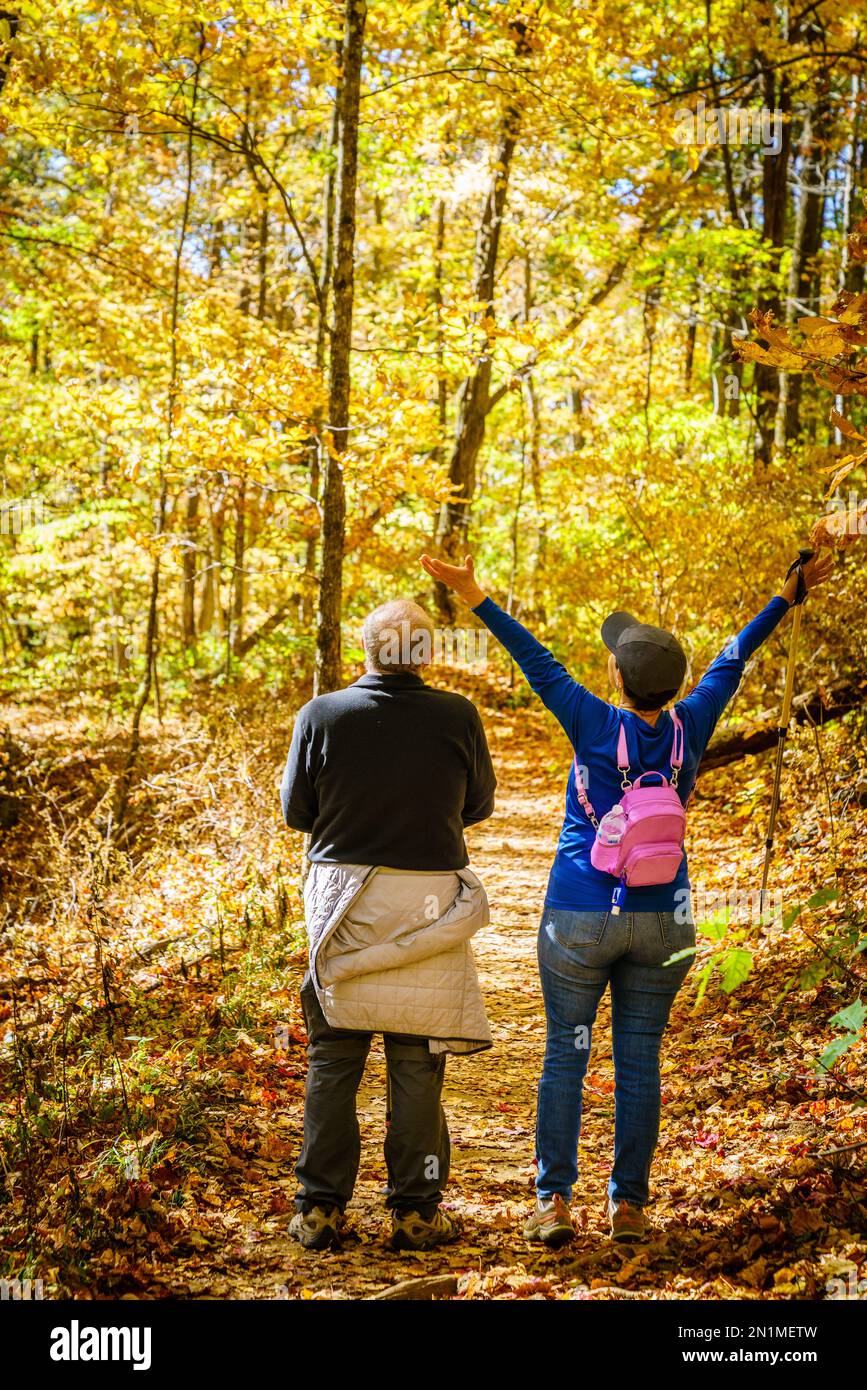 Pareja mayor está de excursión en el bosque en Carolina del Norte en otoño Foto de stock