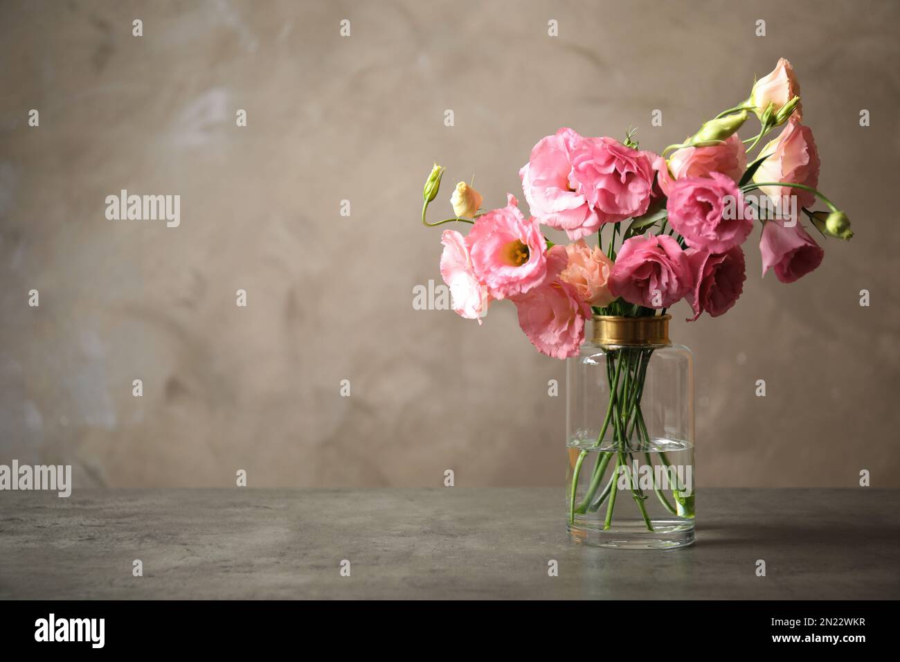 Hermosas flores de Eustoma rosa en jarrón sobre mesa contra fondo gris.  Espacio para texto Fotografía de stock - Alamy
