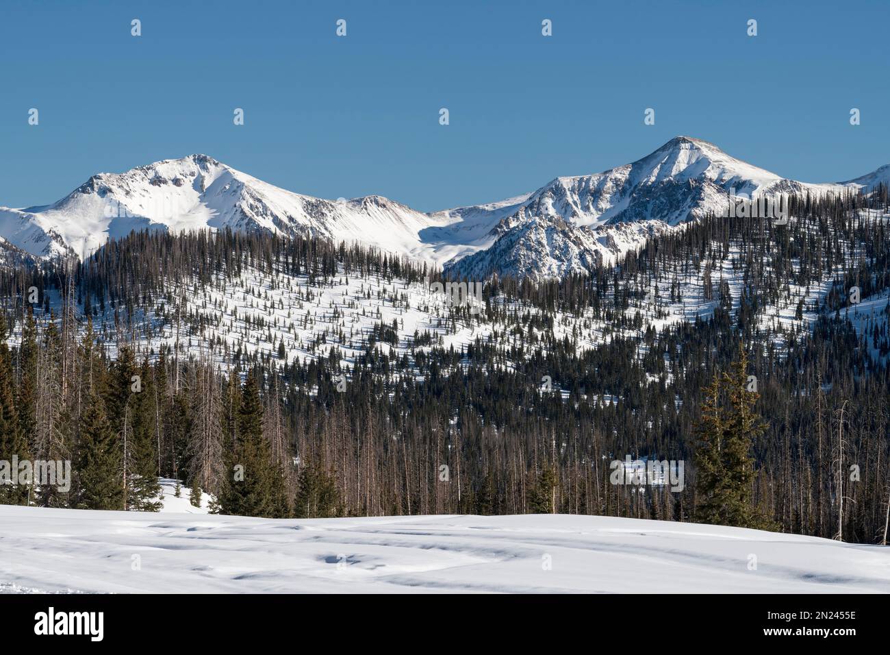Los picos nevados de alta montaña son el telón de fondo de Wolf Creek Ski Area, Colorado. Las montañas de San Juan reciben generosas cantidades de nieve. Foto de stock