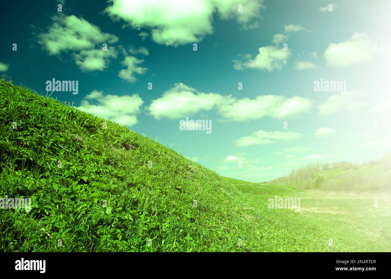 Hermoso y verde pradera con nubes blancas,el enfoque en primer plano Foto de stock