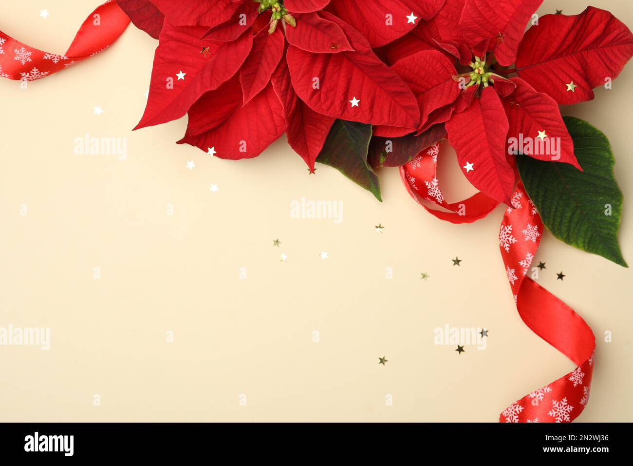 Composición plana con poinsettias (flores tradicionales de Navidad) y cinta  sobre fondo beige. Espacio para texto Fotografía de stock - Alamy