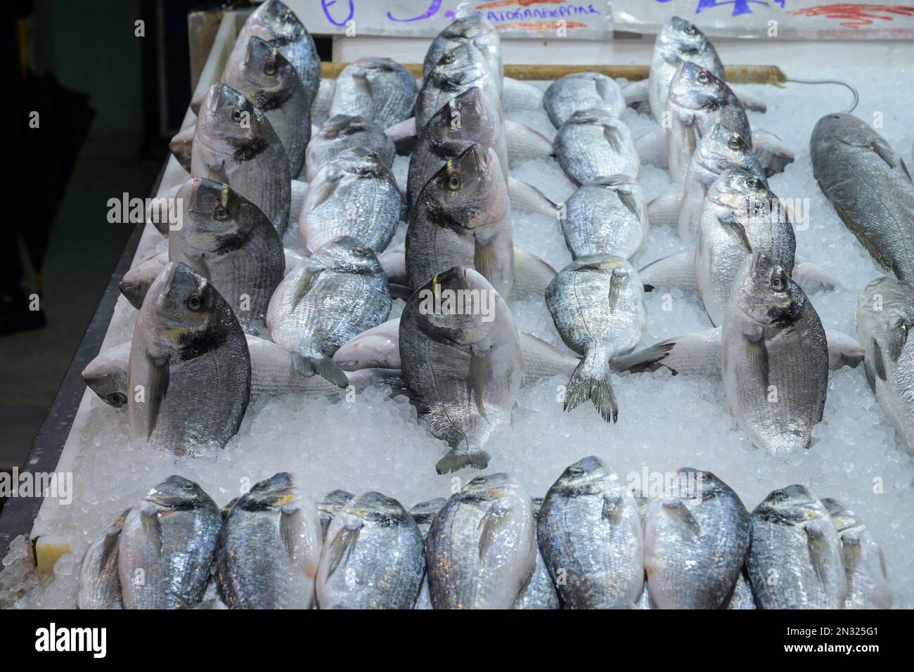 Frische Fische, Fischmarkt, Alte Markthalle, Varvakios Agora, Odos Athinas, Athen, Griechenland Foto de stock