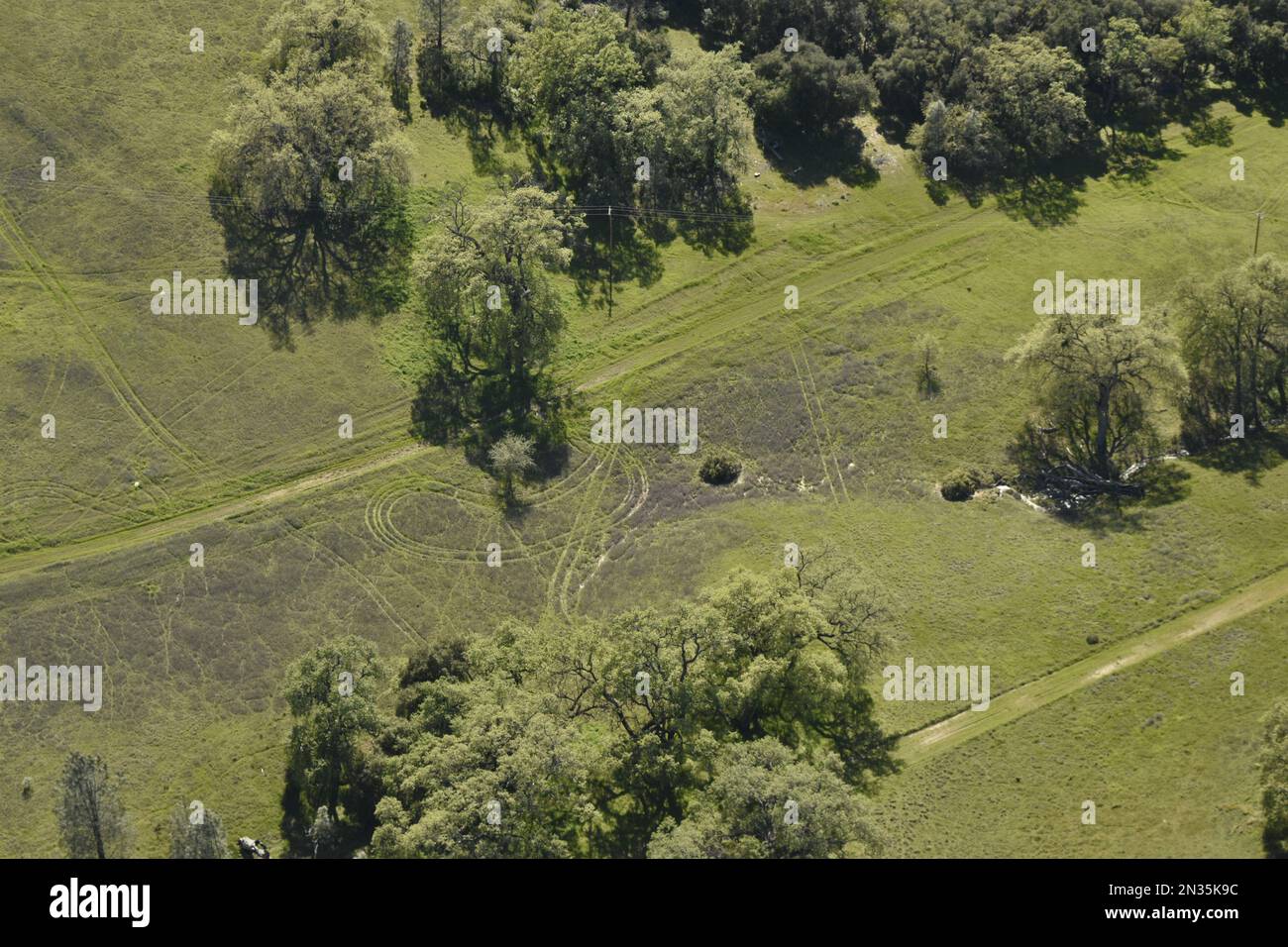 Antenas de Fort Hunter Liggett, California y sus alrededores, 10 de abril de 2019. Pistas en hierba fresca de vehículos pesados del Ejército. Foto de stock