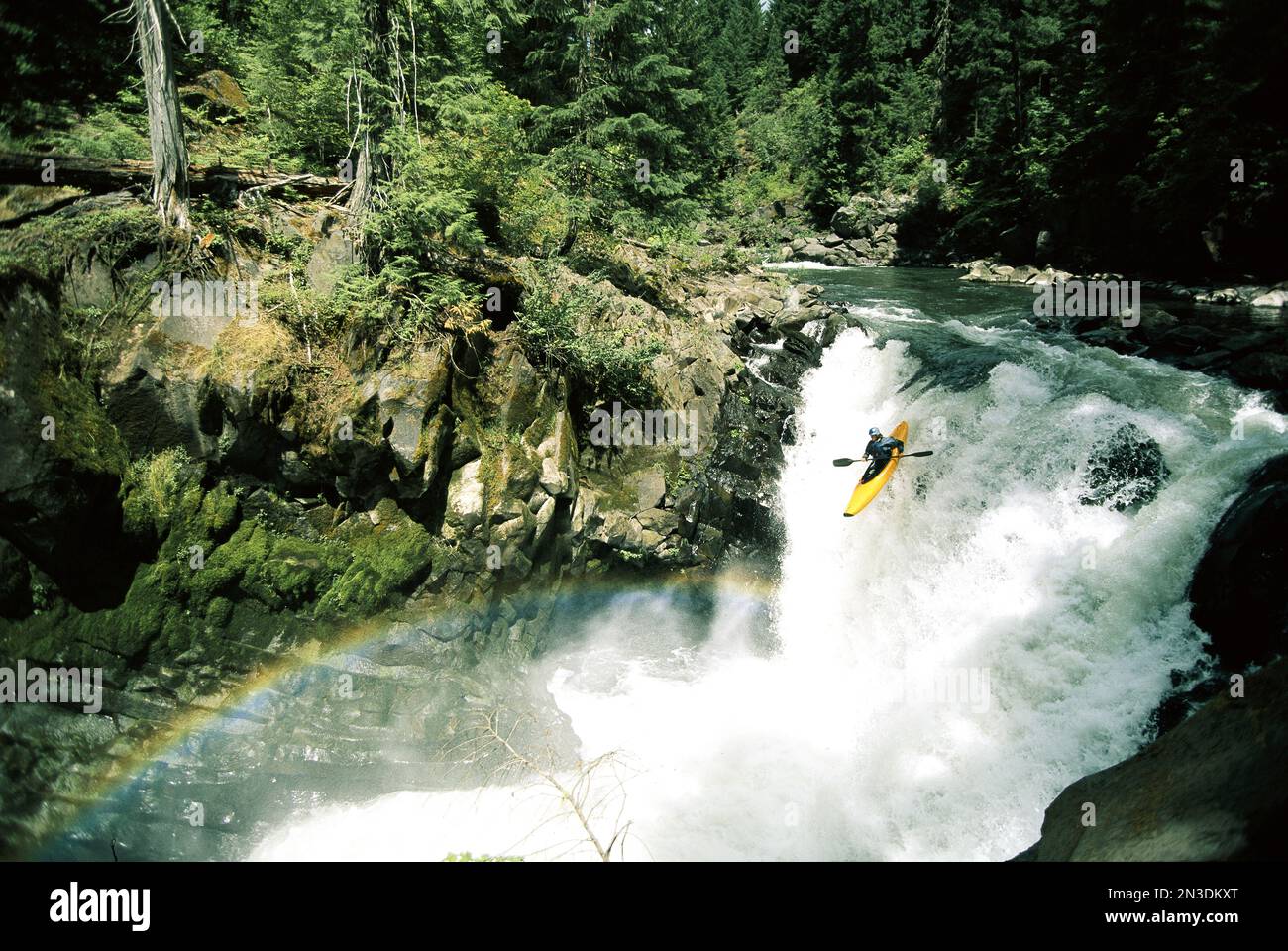 Mujer corriendo una gran cascada en el río White Salmon; Upper White Salmon River, estado de Washington, Estados Unidos de América Foto de stock