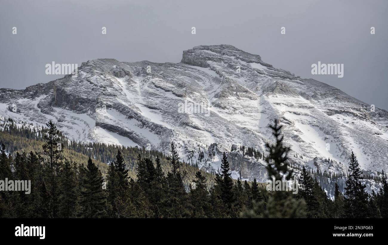 Belleza de las Montañas Rocosas en el Parque Nacional Banff, Alberta, Canadá; Distrito de Mejoramiento Nº 9, Alberta, Canadá Foto de stock