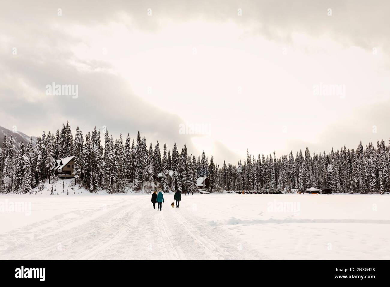 Los turistas caminan con un perro a través de un lago esmeralda congelado con las Montañas Rocosas en el fondo durante el invierno en el Parque Nacional Yoho Foto de stock